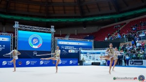 farfalle foto simone ferraro sfa00860